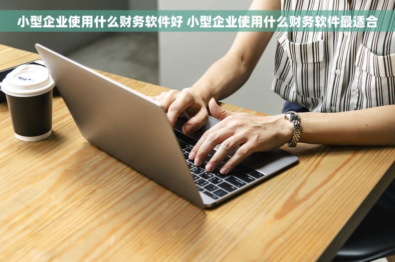 小型企业使用什么财务软件好 小型企业使用什么财务软件最适合