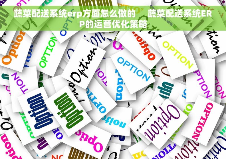 蔬菜配送系统erp方面怎么做的     蔬菜配送系统ERP的运营优化策略