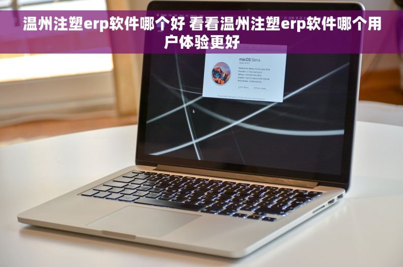 温州注塑erp软件哪个好 看看温州注塑erp软件哪个用户体验更好