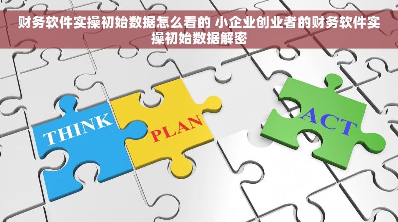 财务软件实操初始数据怎么看的 小企业创业者的财务软件实操初始数据解密