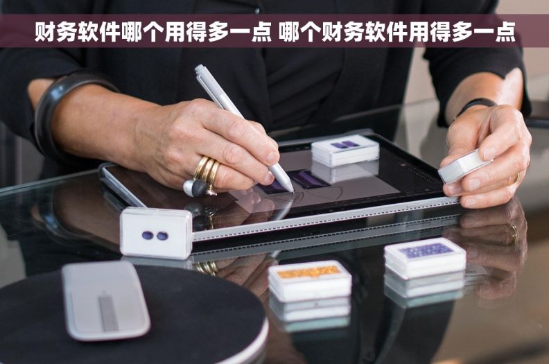 财务软件哪个用得多一点 哪个财务软件用得多一点