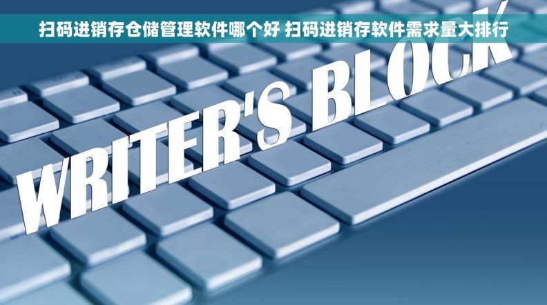 扫码进销存仓储管理软件哪个好 扫码进销存软件需求量大排行