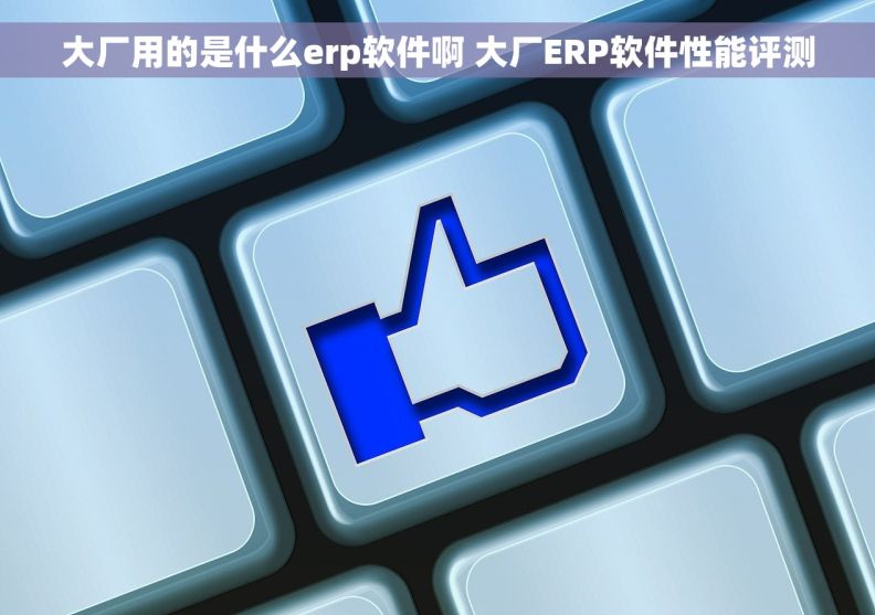 大厂用的是什么erp软件啊 大厂ERP软件性能评测