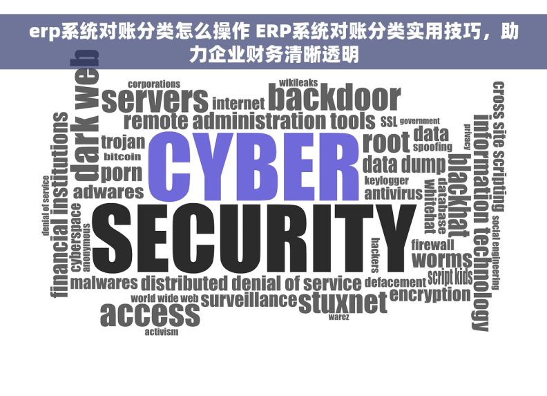 erp系统对账分类怎么操作 ERP系统对账分类实用技巧，助力企业财务清晰透明