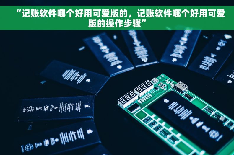 “记账软件哪个好用可爱版的，记账软件哪个好用可爱版的操作步骤”