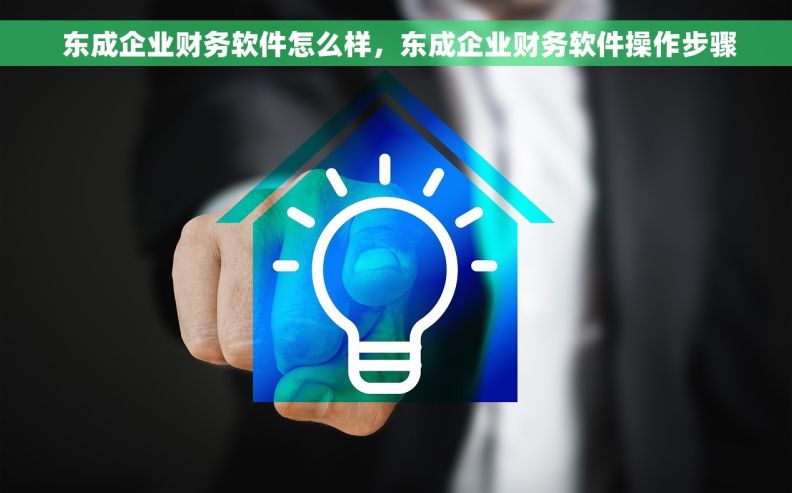  东成企业财务软件怎么样，东成企业财务软件操作步骤