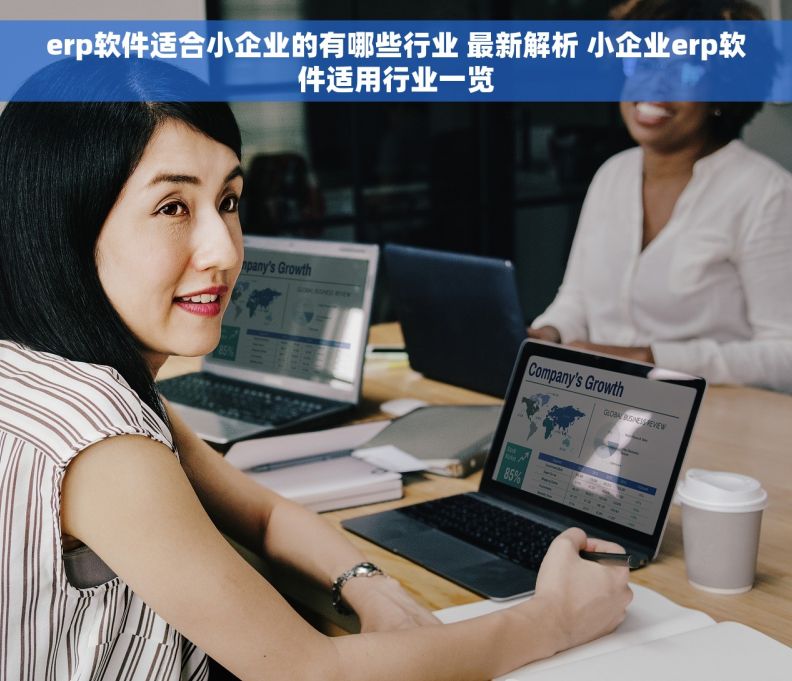 erp软件适合小企业的有哪些行业 最新解析 小企业erp软件适用行业一览