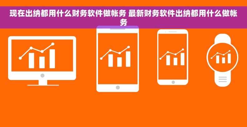 现在出纳都用什么财务软件做帐务 最新财务软件出纳都用什么做帐务