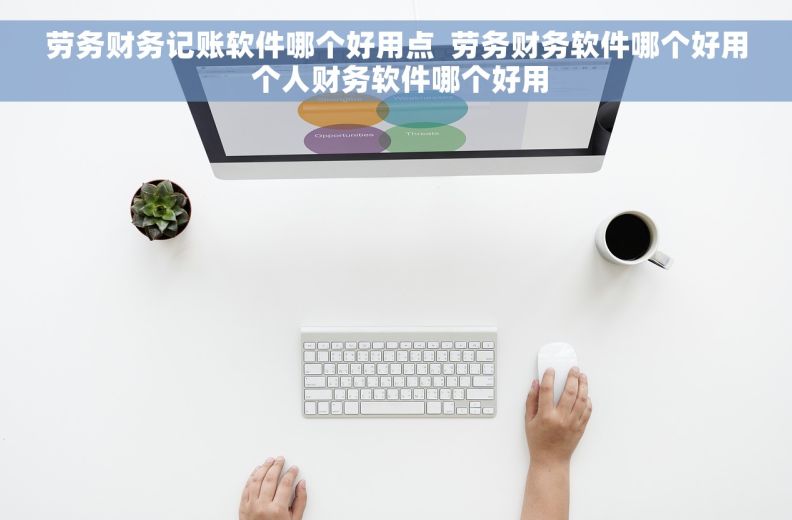 劳务财务记账软件哪个好用点  劳务财务软件哪个好用 个人财务软件哪个好用