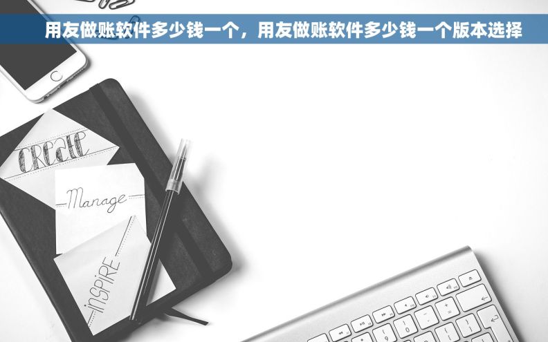     用友做账软件多少钱一个，用友做账软件多少钱一个版本选择