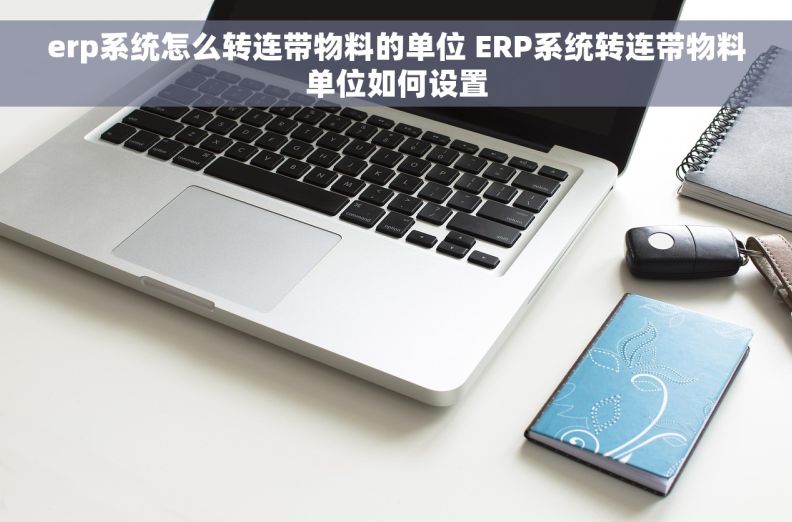 erp系统怎么转连带物料的单位 ERP系统转连带物料单位如何设置
