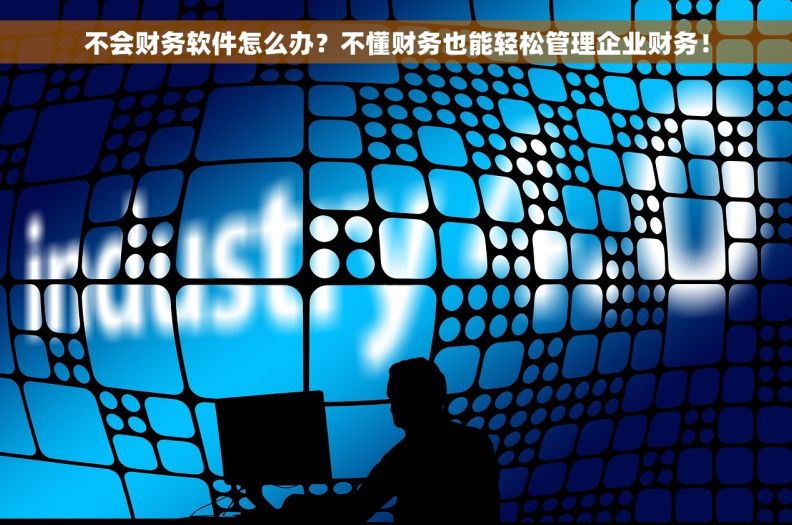 不会财务软件怎么办？不懂财务也能轻松管理企业财务！