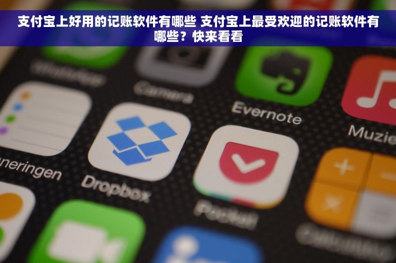 支付宝上好用的记账软件有哪些 支付宝上最受欢迎的记账软件有哪些？快来看看