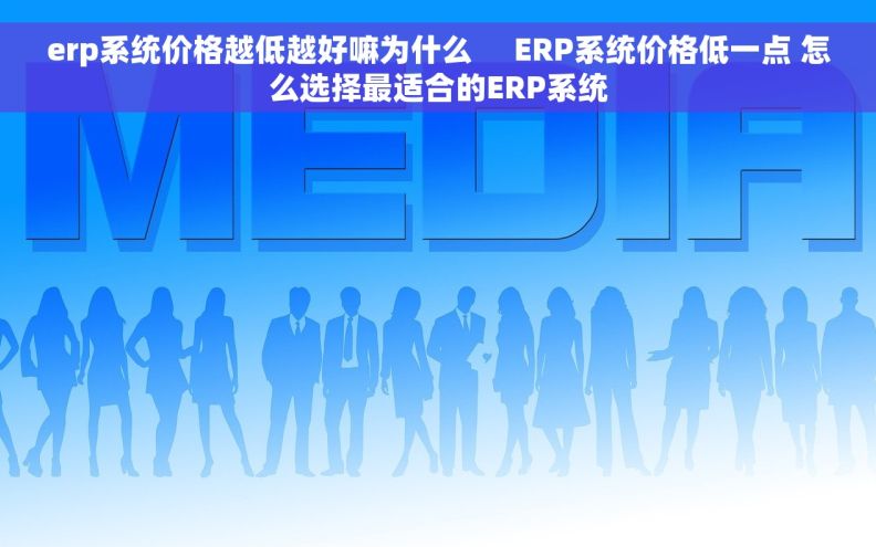 erp系统价格越低越好嘛为什么     ERP系统价格低一点 怎么选择最适合的ERP系统