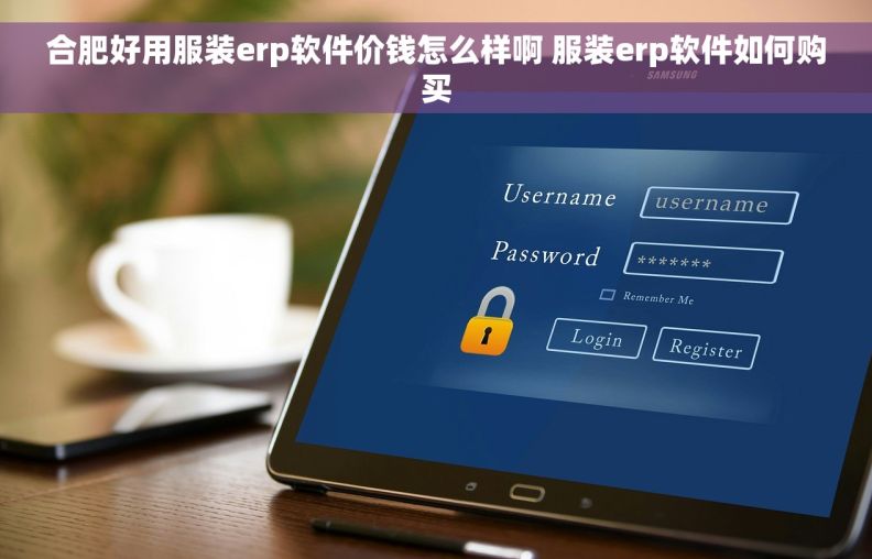 合肥好用服装erp软件价钱怎么样啊 服装erp软件如何购买