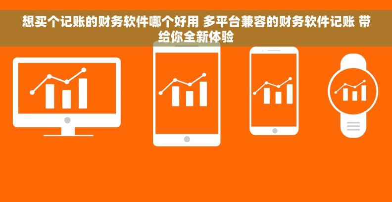 想买个记账的财务软件哪个好用 多平台兼容的财务软件记账 带给你全新体验