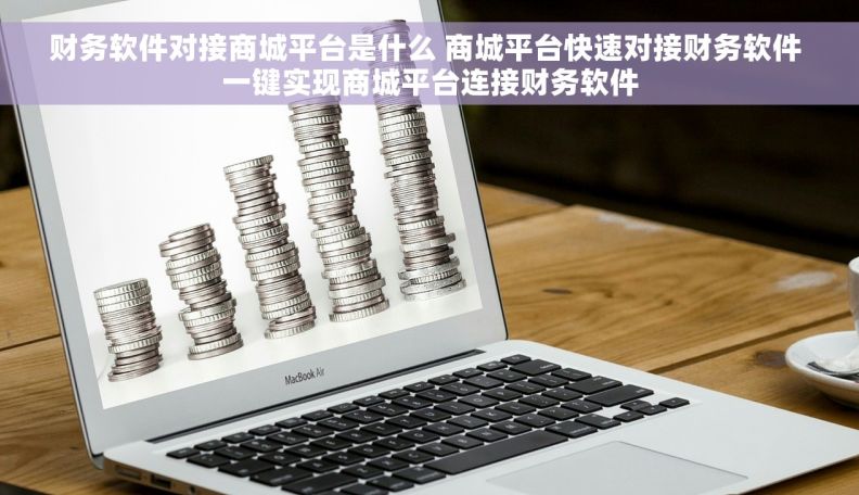 财务软件对接商城平台是什么 商城平台快速对接财务软件 一键实现商城平台连接财务软件