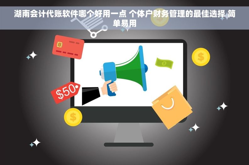 湖南会计代账软件哪个好用一点 个体户财务管理的最佳选择 简单易用