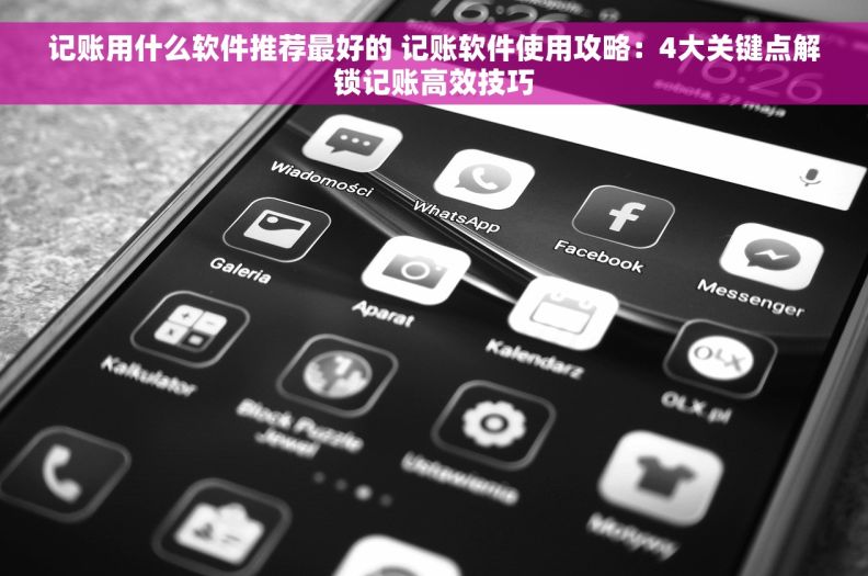 记账用什么软件推荐最好的 记账软件使用攻略：4大关键点解锁记账高效技巧