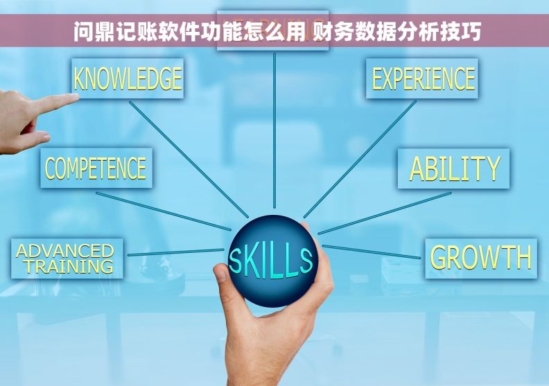  问鼎记账软件功能怎么用 财务数据分析技巧