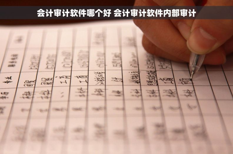 会计审计软件哪个好 会计审计软件内部审计