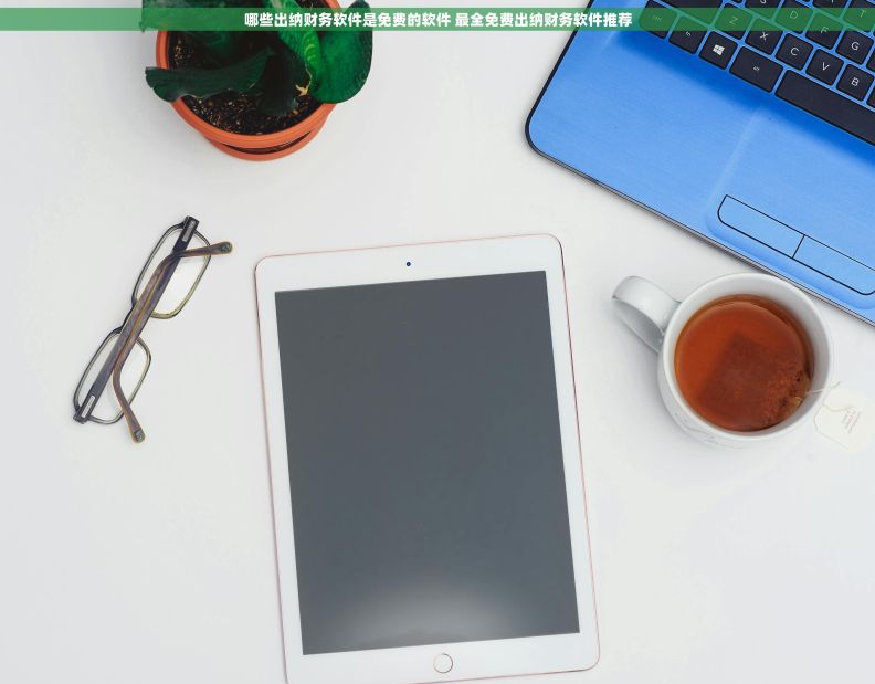 哪些出纳财务软件是免费的软件 最全免费出纳财务软件推荐