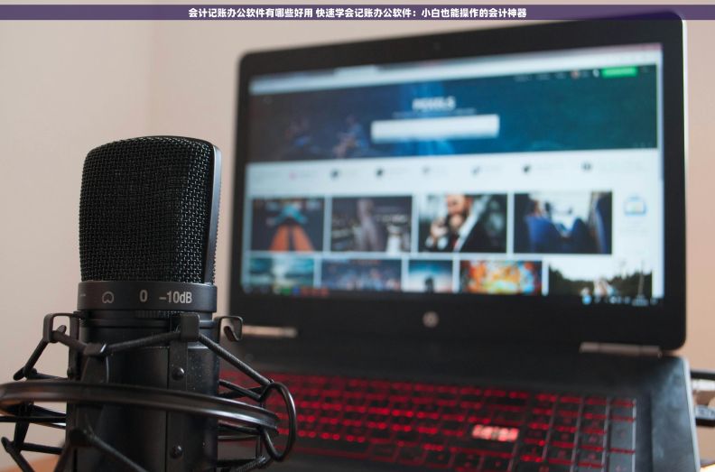会计记账办公软件有哪些好用 快速学会记账办公软件：小白也能操作的会计神器