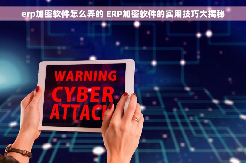 erp加密软件怎么弄的 ERP加密软件的实用技巧大揭秘 erp加密软件怎么弄的 ERP加密软件的实用技巧大揭秘