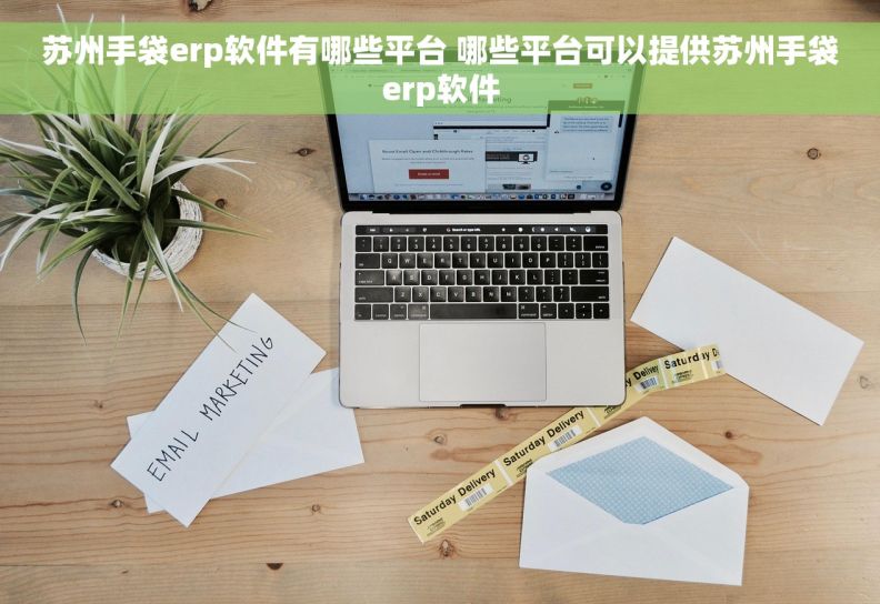 苏州手袋erp软件有哪些平台 哪些平台可以提供苏州手袋erp软件