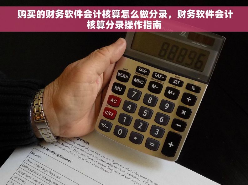  购买的财务软件会计核算怎么做分录，财务软件会计核算分录操作指南