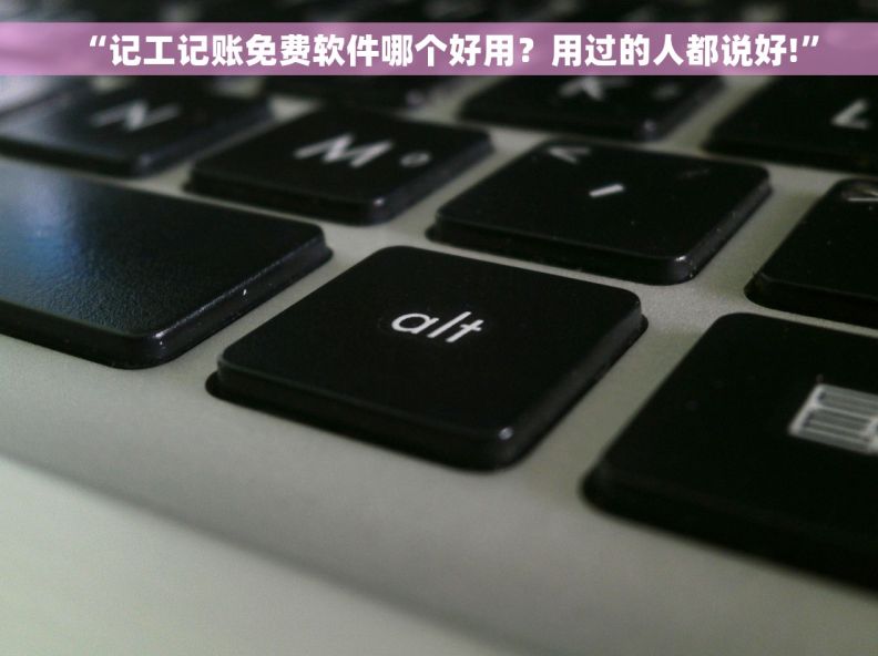 “记工记账免费软件哪个好用？用过的人都说好!”