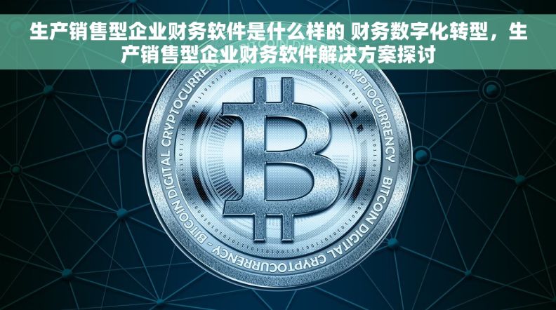 生产销售型企业财务软件是什么样的 财务数字化转型，生产销售型企业财务软件解决方案探讨