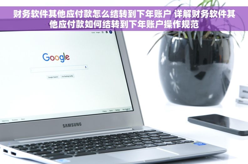 财务软件其他应付款怎么结转到下年账户 详解财务软件其他应付款如何结转到下年账户操作规范