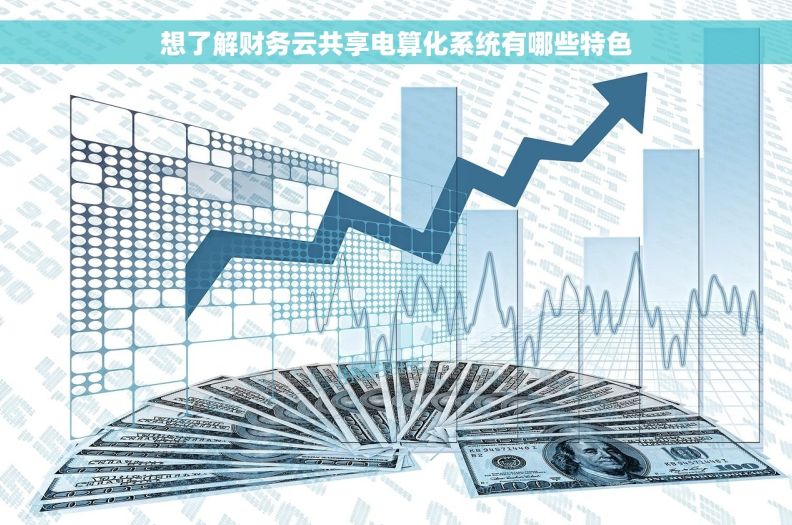 想了解财务云共享电算化系统有哪些特色