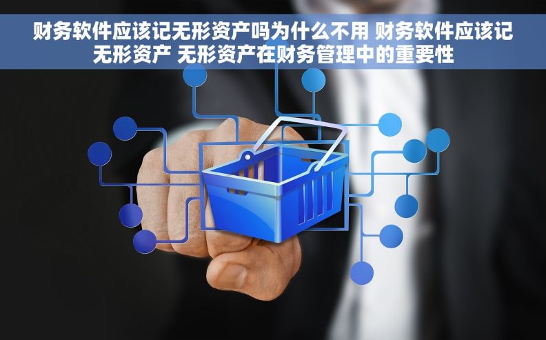 财务软件应该记无形资产吗为什么不用 财务软件应该记无形资产 无形资产在财务管理中的重要性