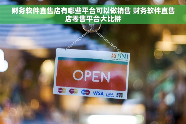 财务软件直售店有哪些平台可以做销售 财务软件直售店零售平台大比拼