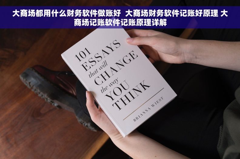 大商场都用什么财务软件做账好  大商场财务软件记账好原理 大商场记账软件记账原理详解