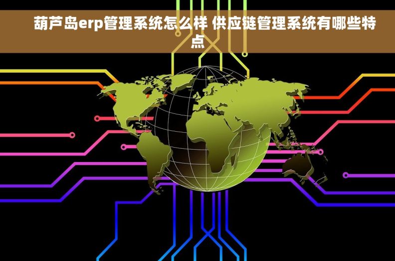     葫芦岛erp管理系统怎么样 供应链管理系统有哪些特点