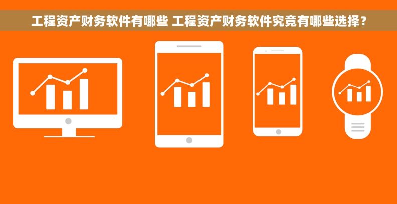 工程资产财务软件有哪些 工程资产财务软件究竟有哪些选择？