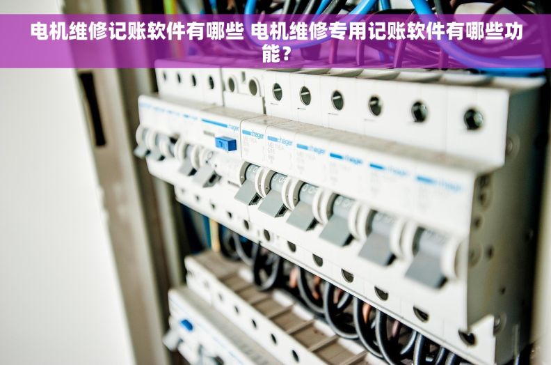 电机维修记账软件有哪些 电机维修专用记账软件有哪些功能？