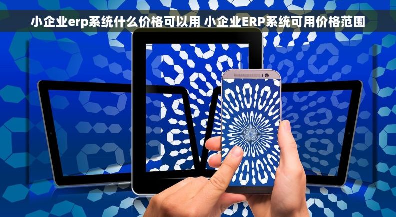 小企业erp系统什么价格可以用 小企业ERP系统可用价格范围 小企业erp系统什么价格可以用 小企业ERP系统可用价格范围