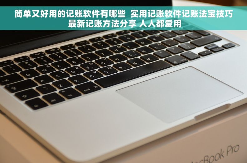 简单又好用的记账软件有哪些  实用记账软件记账法宝技巧 最新记账方法分享 人人都爱用