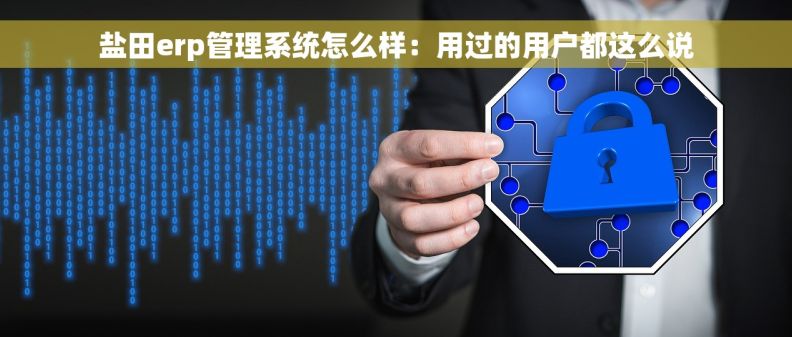 盐田erp管理系统怎么样：用过的用户都这么说