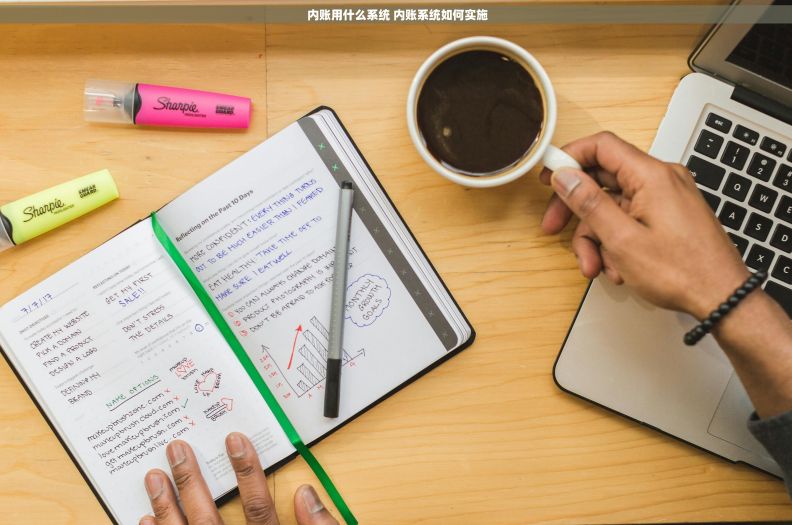  内账用什么系统 内账系统如何实施