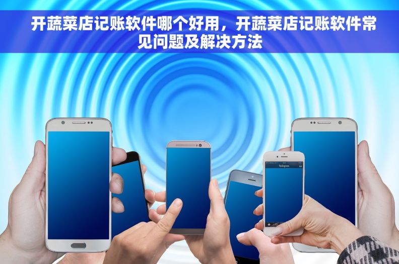   开蔬菜店记账软件哪个好用，开蔬菜店记账软件常见问题及解决方法