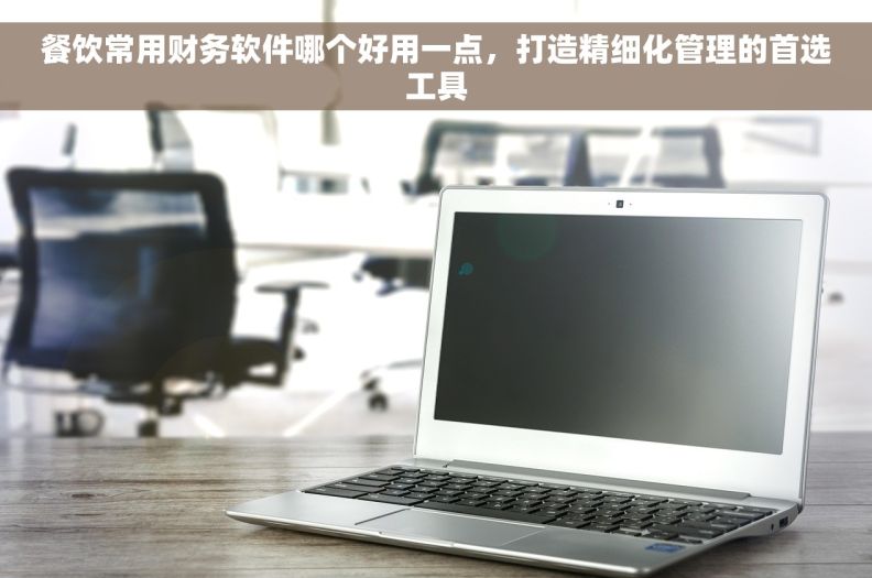 餐饮常用财务软件哪个好用一点，打造精细化管理的首选工具