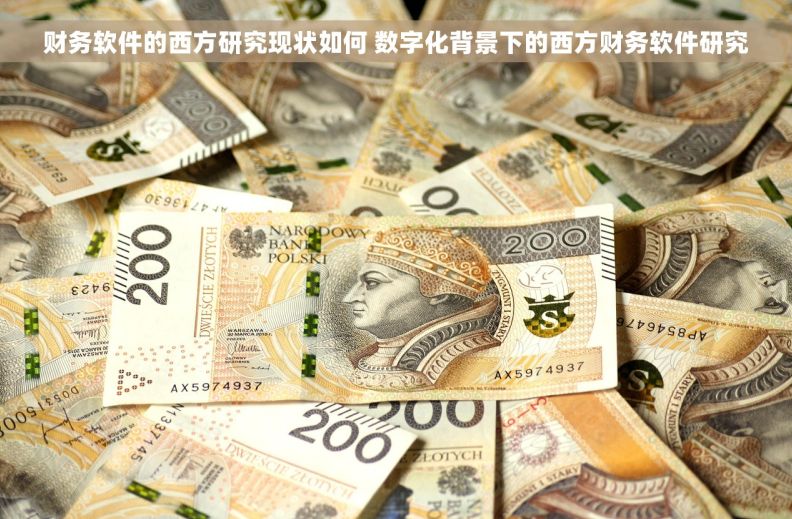 财务软件的西方研究现状如何 数字化背景下的西方财务软件研究
