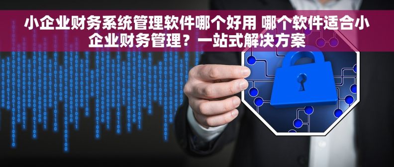 小企业财务系统管理软件哪个好用 哪个软件适合小企业财务管理？一站式解决方案