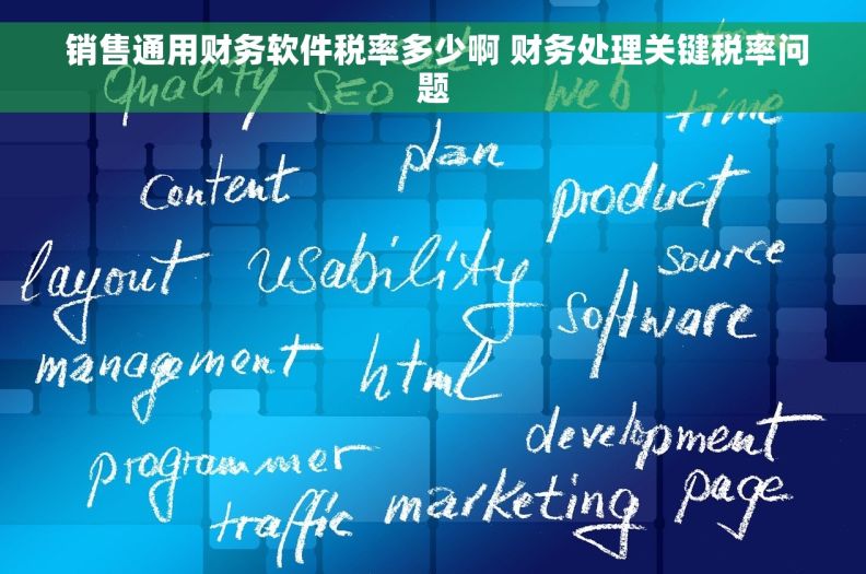  销售通用财务软件税率多少啊 财务处理关键税率问题