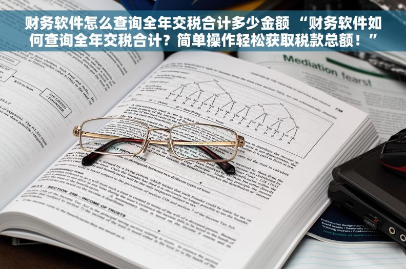 财务软件怎么查询全年交税合计多少金额 “财务软件如何查询全年交税合计？简单操作轻松获取税款总额！”